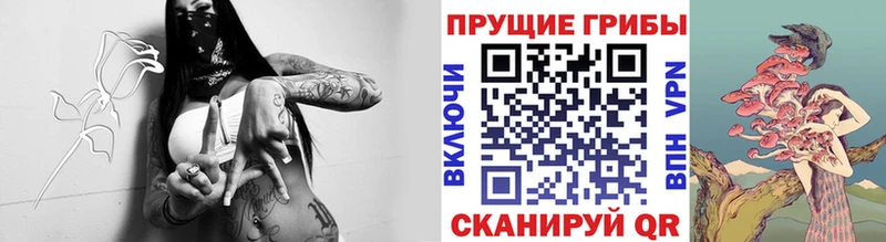 Псилоцибиновые грибы Psilocybine cubensis  купить   дарк нет как зайти  Дальнереченск 